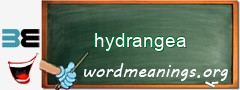 WordMeaning blackboard for hydrangea